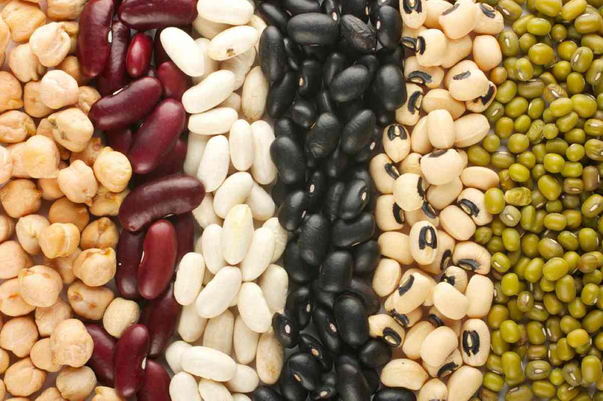 Beans Have Carbohydrates