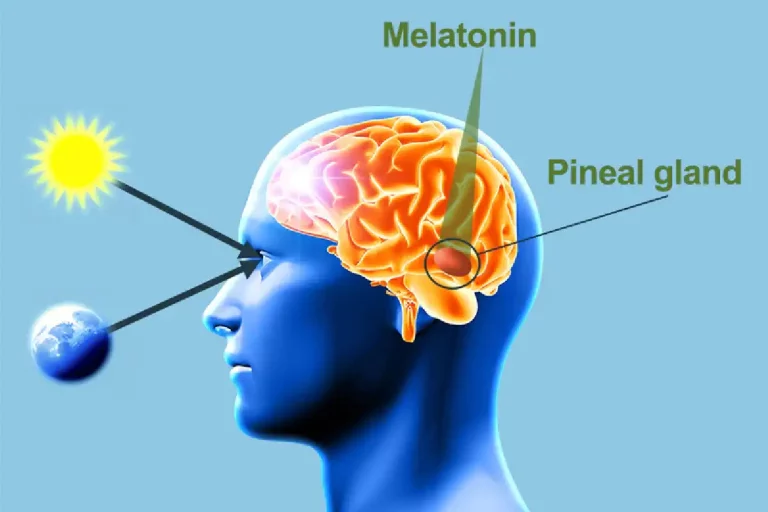 What is Melatonin_