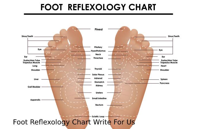 Foot Reflexology Chart Write For Us