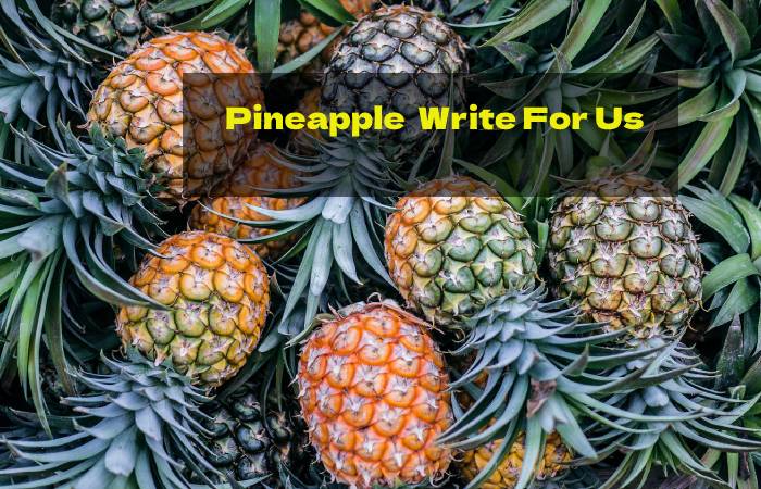 Pineapple Write For Us