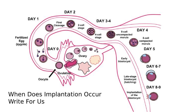 When Does Implantation Occur Write For Us