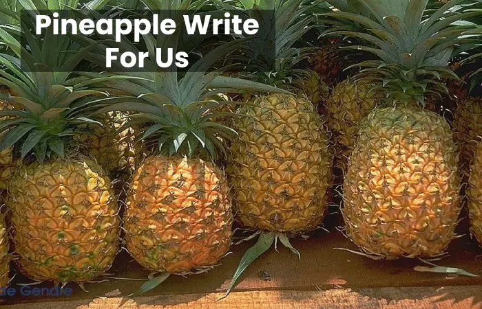 Pineapple Write For Us