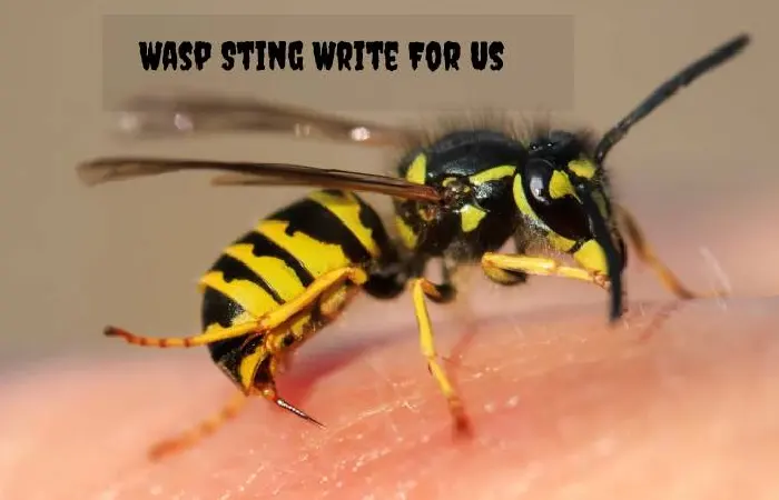 Wasp Sting Write For Us