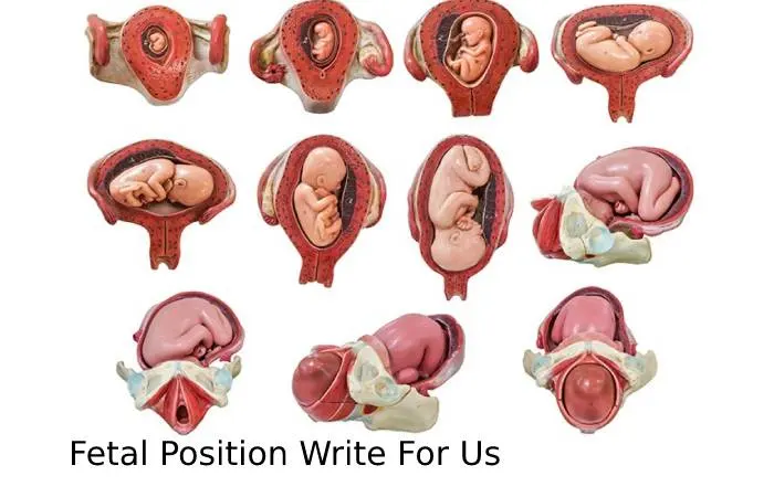 Fetal Position Write For Us