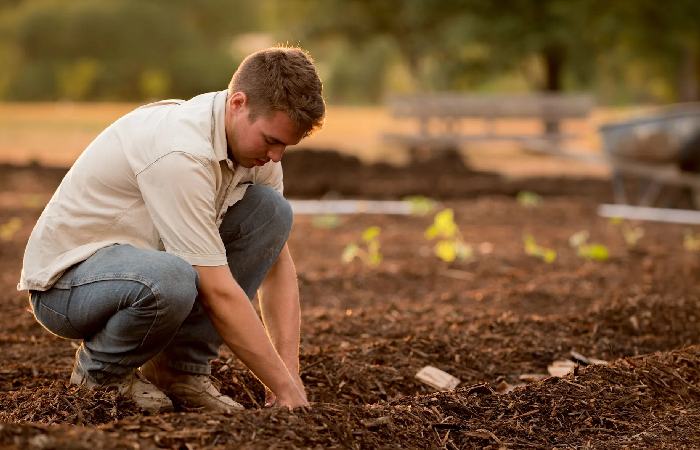Start a Community Garden